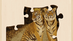 Live Jigsaws - Cat Tailz