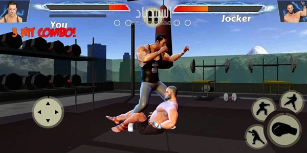 صور من اللعبة