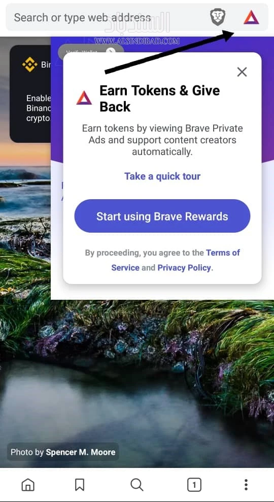 المكافآت :Brave Private Browser