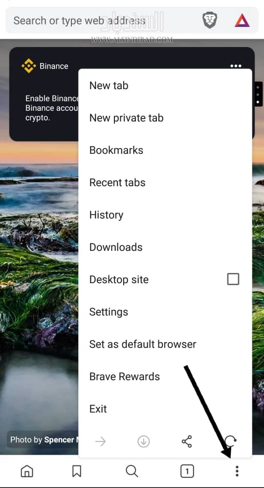 خيارات :Brave Private Browser