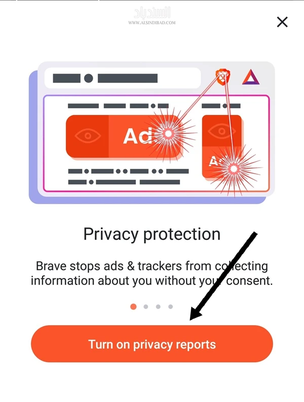 تقارير حماية الخصوصية :Brave Private Browser