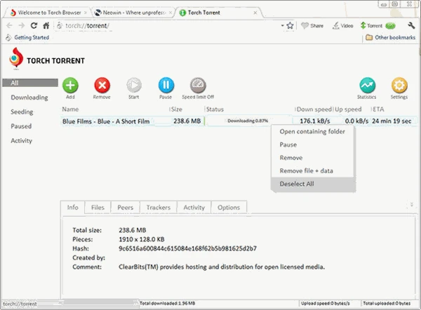 screenshot 2 Torch Browser