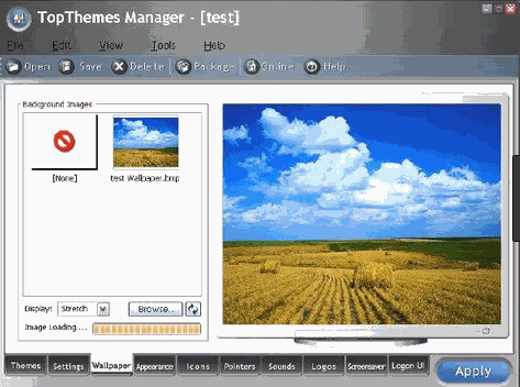  TopThemes Manager    