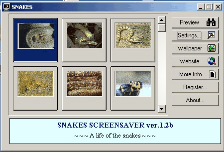 Snake Screensaver Game