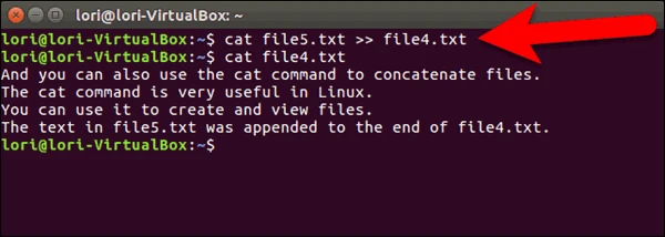 screenshot 4 كيفية دمج الملفات النصية في Linux باستخدام تعليمة cat