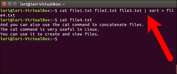 screenshot 3 كيفية دمج الملفات النصية في Linux باستخدام تعليمة cat