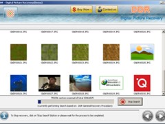 Formatted Photos Recovery Software screenshot 2