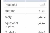 pocket arabic dictionary