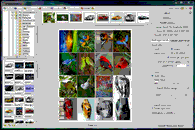 Photoscape Portable-3