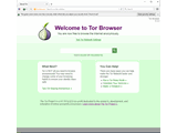 Tor Browser