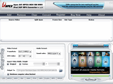 AVI MPEG MOV RM WMV iPod Video Converter