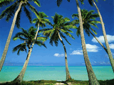 dArt Tropical Islands vol.1
