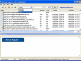 Index.dat Analyzer