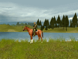 Hunting Unlimited 3