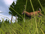 Hunting Unlimited 4