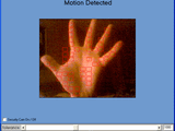 Web Camera Security System