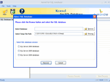 SQL Server Data Recovery