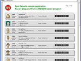 Rpv Reports Steel