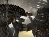 Alien vs Predator