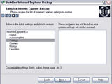 BackRex Internet Explorer Backup