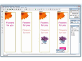 Selteco Bannershop GIF Animator V4.5