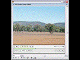 Macromedia Director v8.5