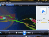 Windows Media Player