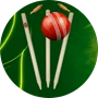 أيقونة Worldcric Cricket Live