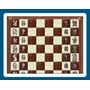أيقونة Fantasy Chess