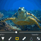 videograde