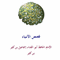 أيقونة قصص الانبياء