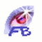 fast browser