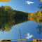 Petri Heil 3 - Gold Online