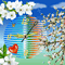 Apple-Blossom-Clock ScreenSaver