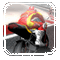 Superbike Racers