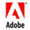 Adobe ShockWave Player 11.6.6.638