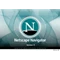  Netscape Browser