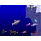  Laser Dolphin (for Windows)