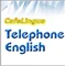  Telephone English
