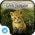 لعبة Live Jigsaws - Cat Tailz