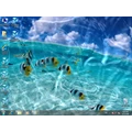 Animated Wallpaper - Watery Desktop 3D تأثير مائي متحرك لإضفاء جمال على سطح المكتب بمؤثرات طبيعية مختلفة.