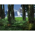 أيقونة 3D Forest Screensaver