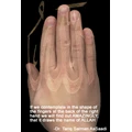 Islamic Screensaver