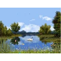 أيقونة Spring Lake - Animated Wallpaper